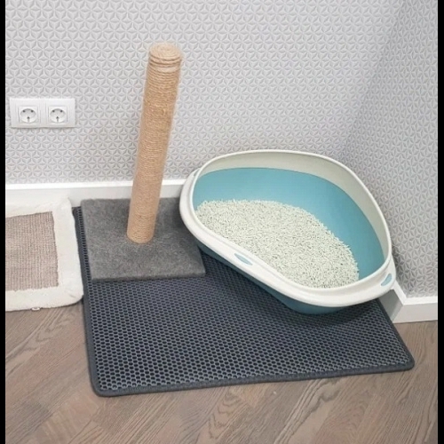 Антон, г. Новосибирск